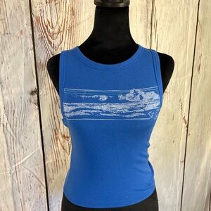 Hollister Blue Tank Top Size Small